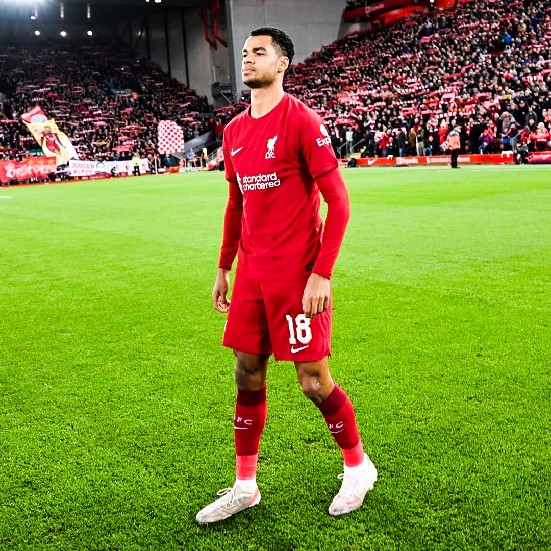 doi hinh tuoi meo anh 5