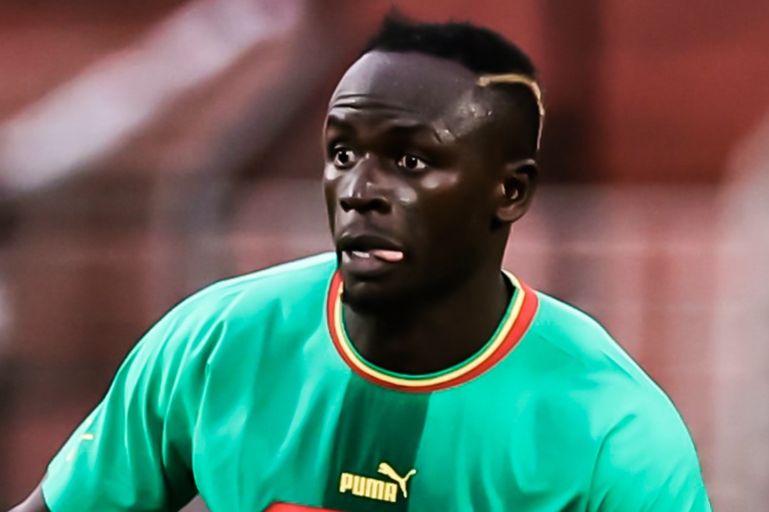 Mane kien tao ban quyet dinh chien thang hinh anh