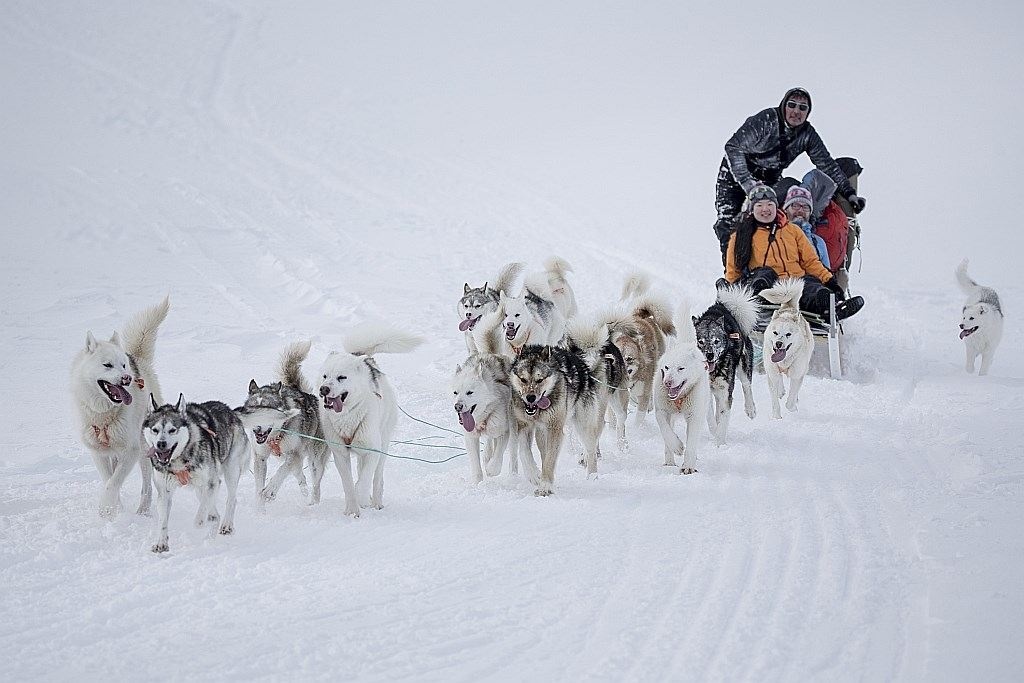 Nguoi Dan Mach cam thay bi 'Vua Thue quan' phan boi hinh anh