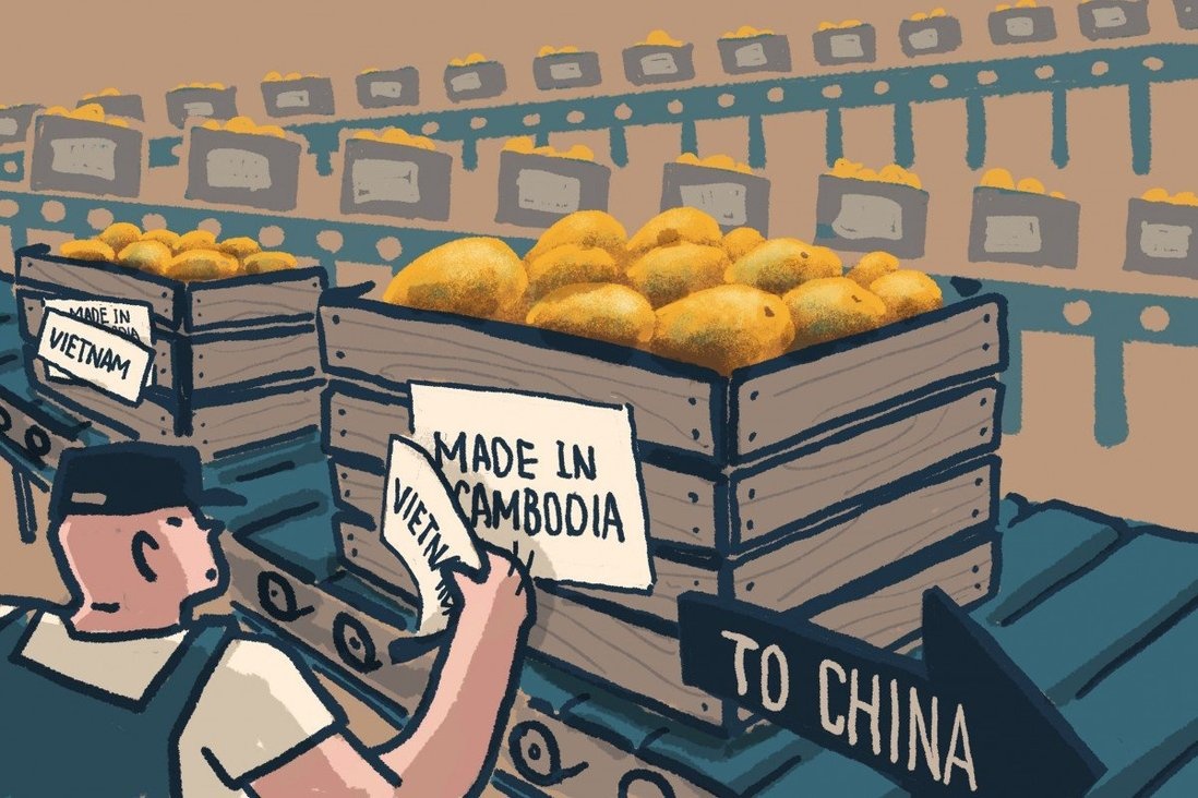 Xoai Campuchia tung mang nhan 'Made in Vietnam' de vao Trung Quoc hinh anh