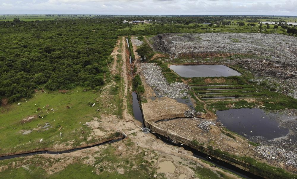 Voi chet o Sri Lanka anh 2