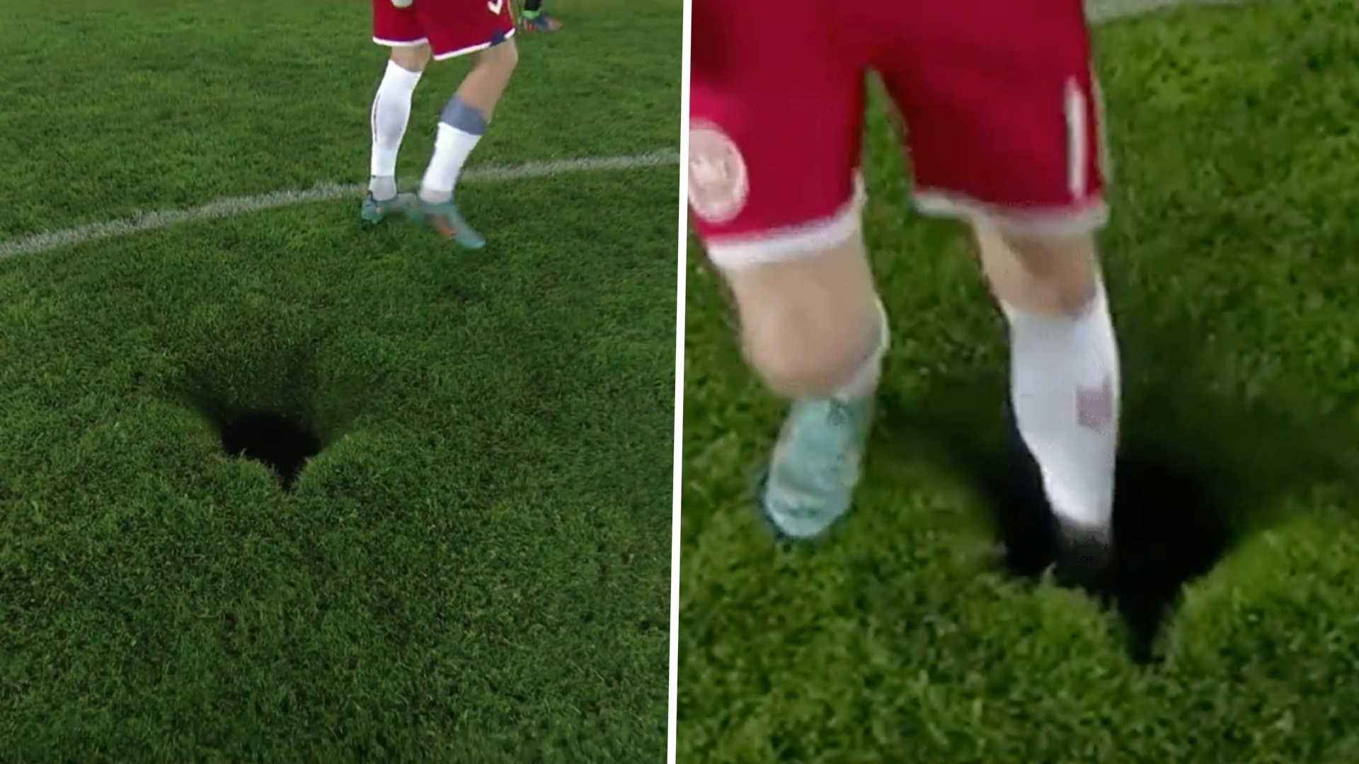 Ho sau lon xuat hien trong tran Dan Mach thang Ao anh 5