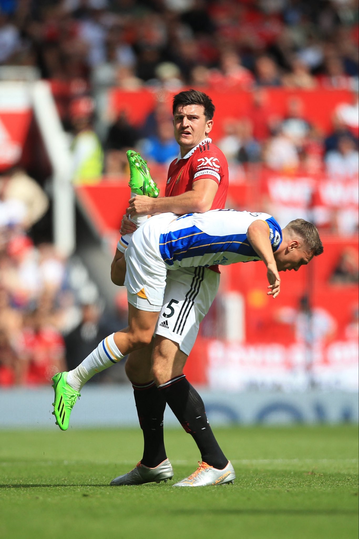 Maguire vật cầu thủ Brighton trong pha xô xát ảnh 5 Maguire vat cau thu Brighton trong pha xo xat anh 5