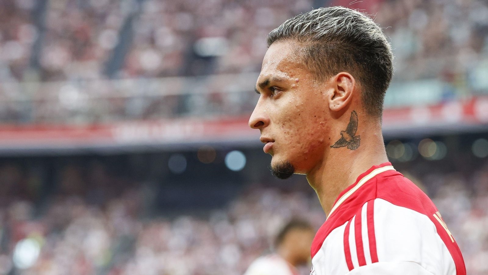 MU them 3 tan binh anh 2