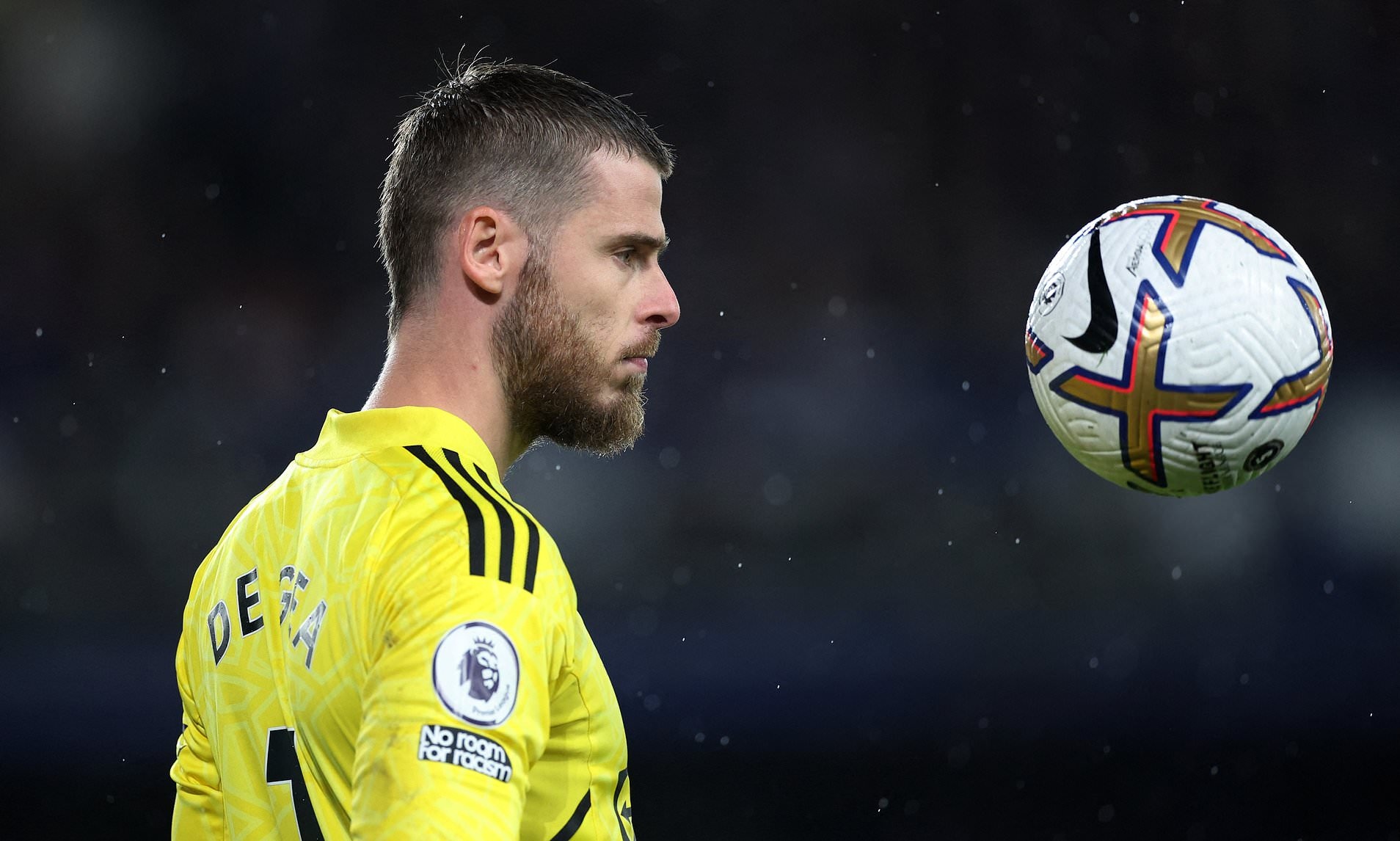 De Gea muon o lai anh 1