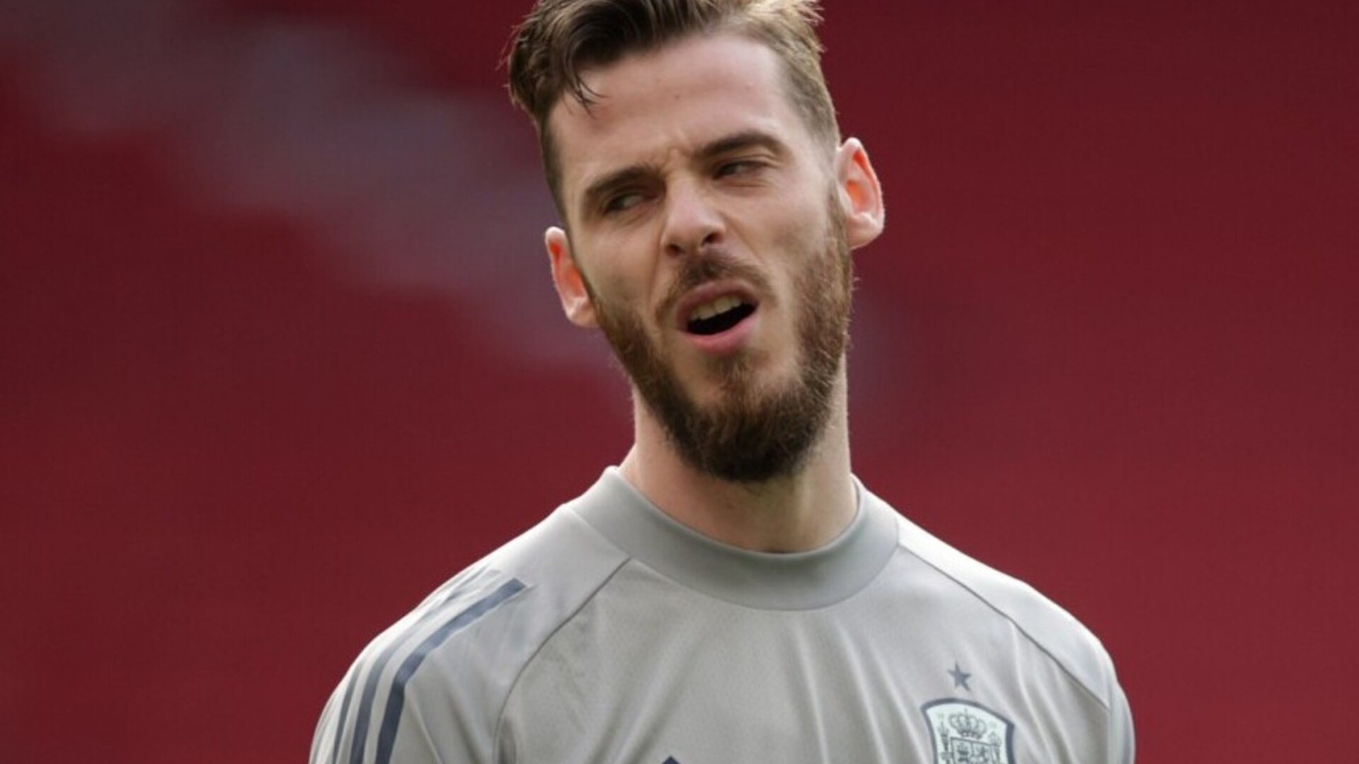De Gea World Cup 2022 anh 1