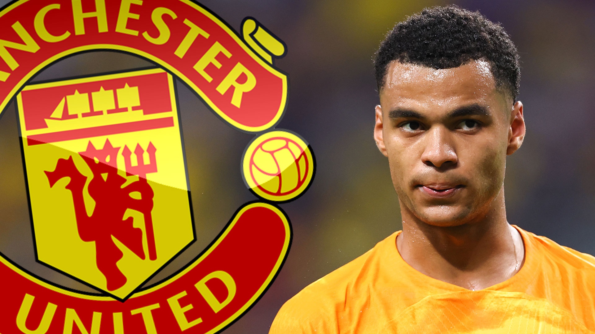 Ly do MU khong mua Cody Gakpo hinh anh