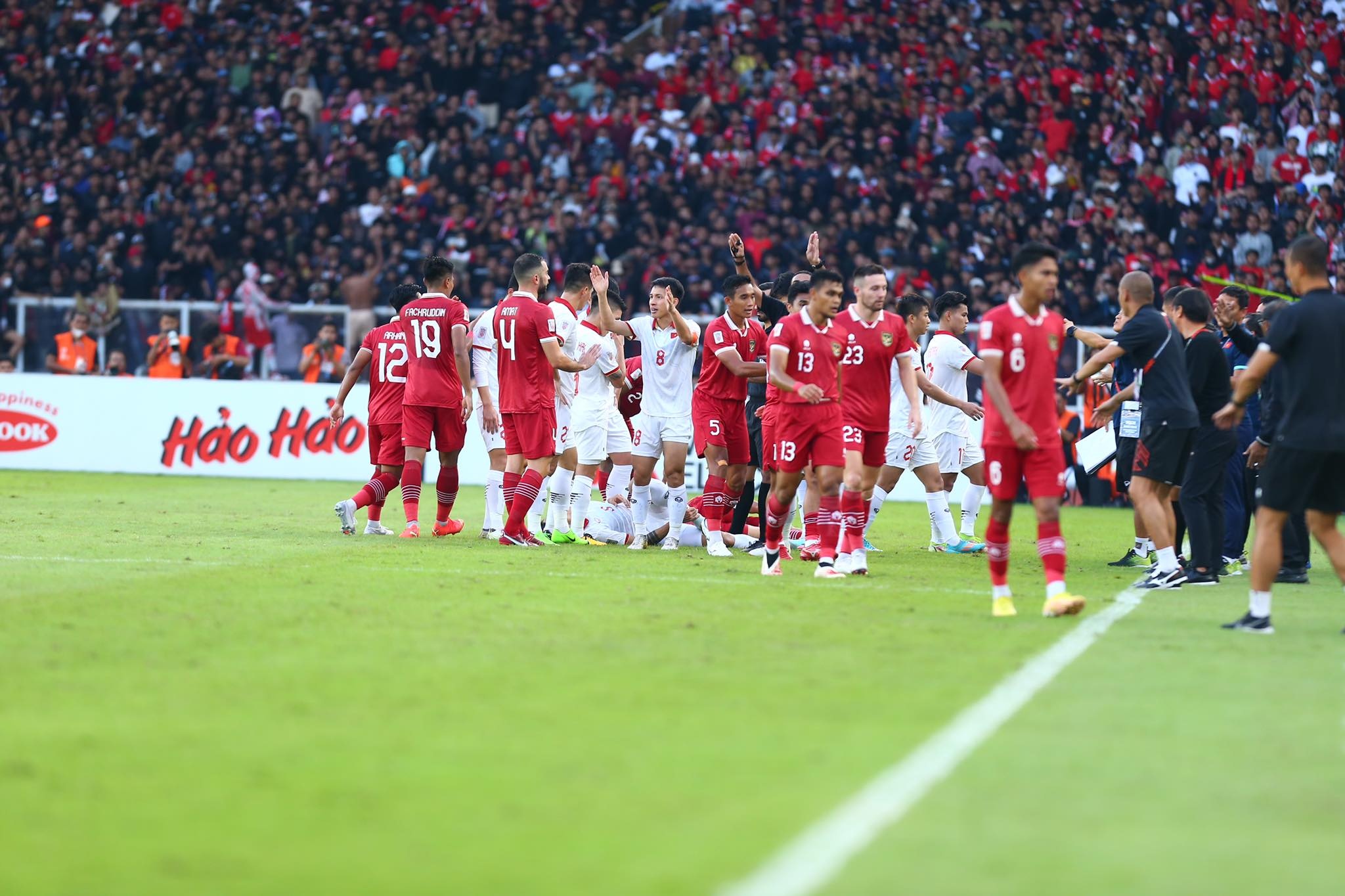 Viet Nam Indonesia xo xat anh 4