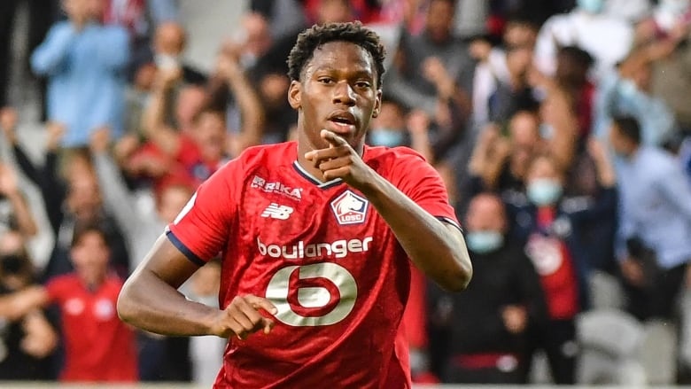 Dan tien dao hay nhat anh 9