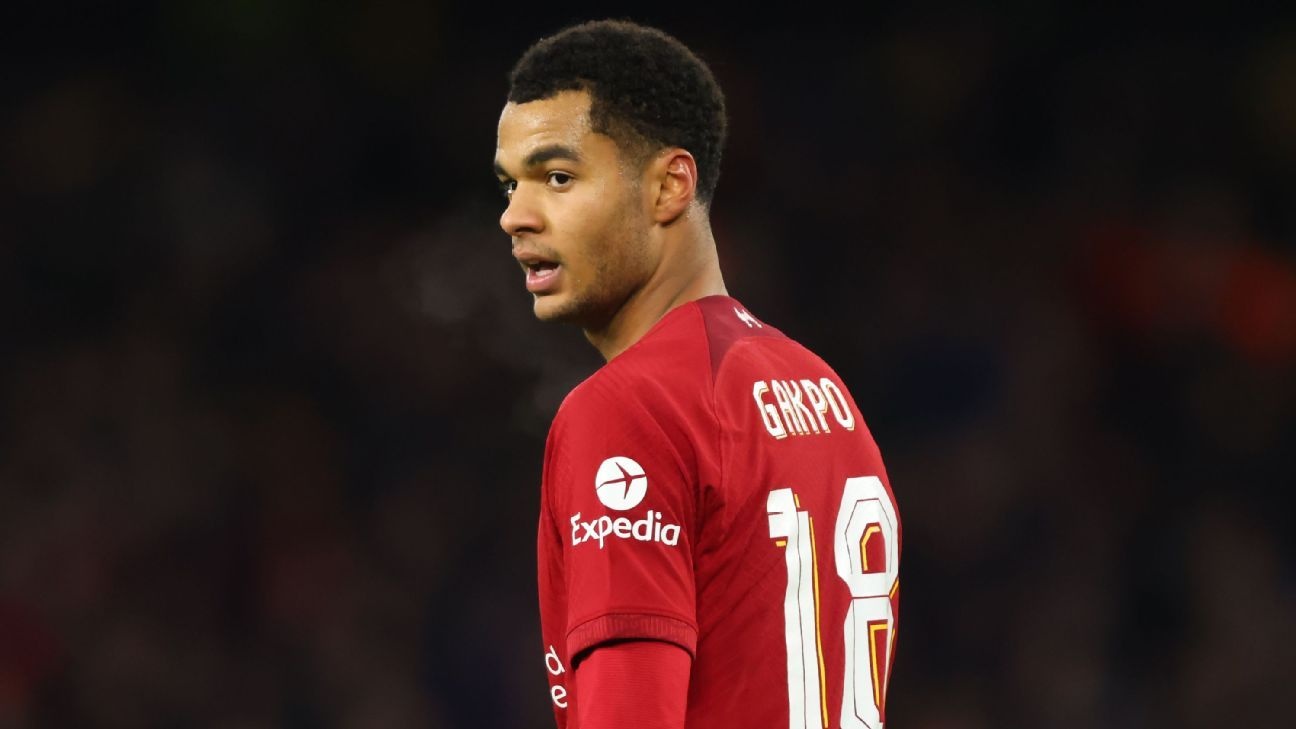 Van Nistelrooy: Mo toi MU, Gakpo lai voi va chon Liverpool hinh anh