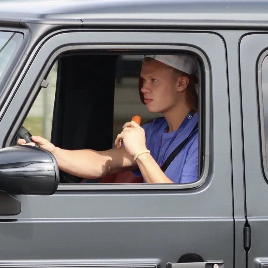 Haaland an song carrot anh 1