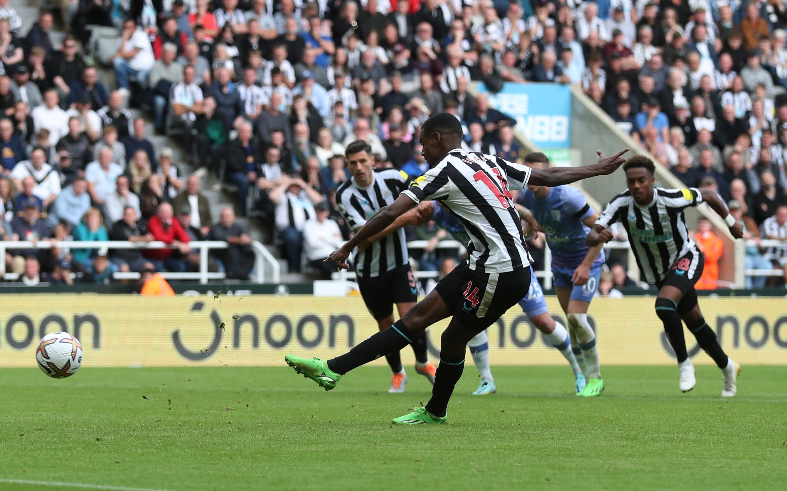 Newcastle United sa sut anh 6