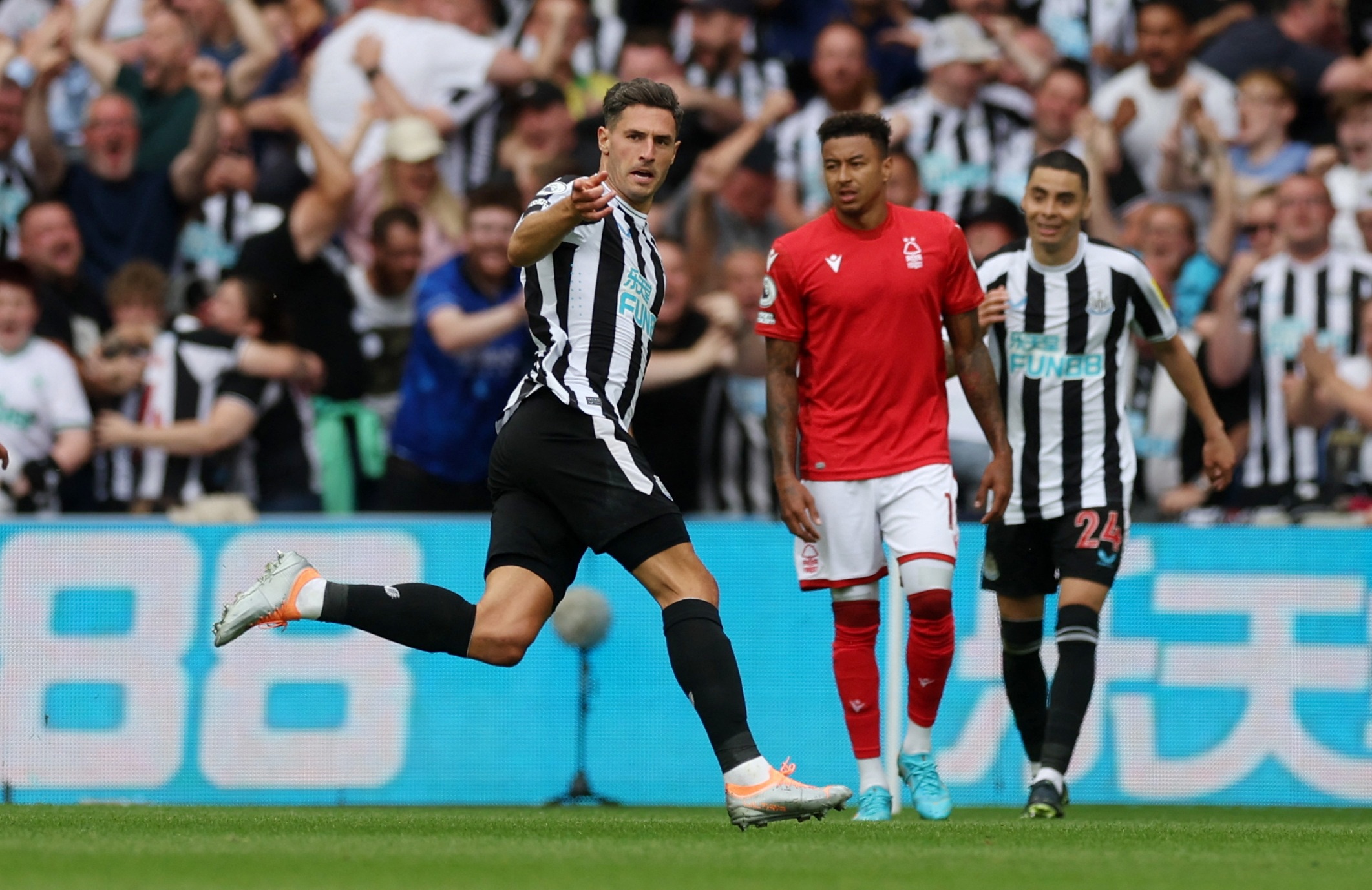 Newcastle United sa sut anh 2