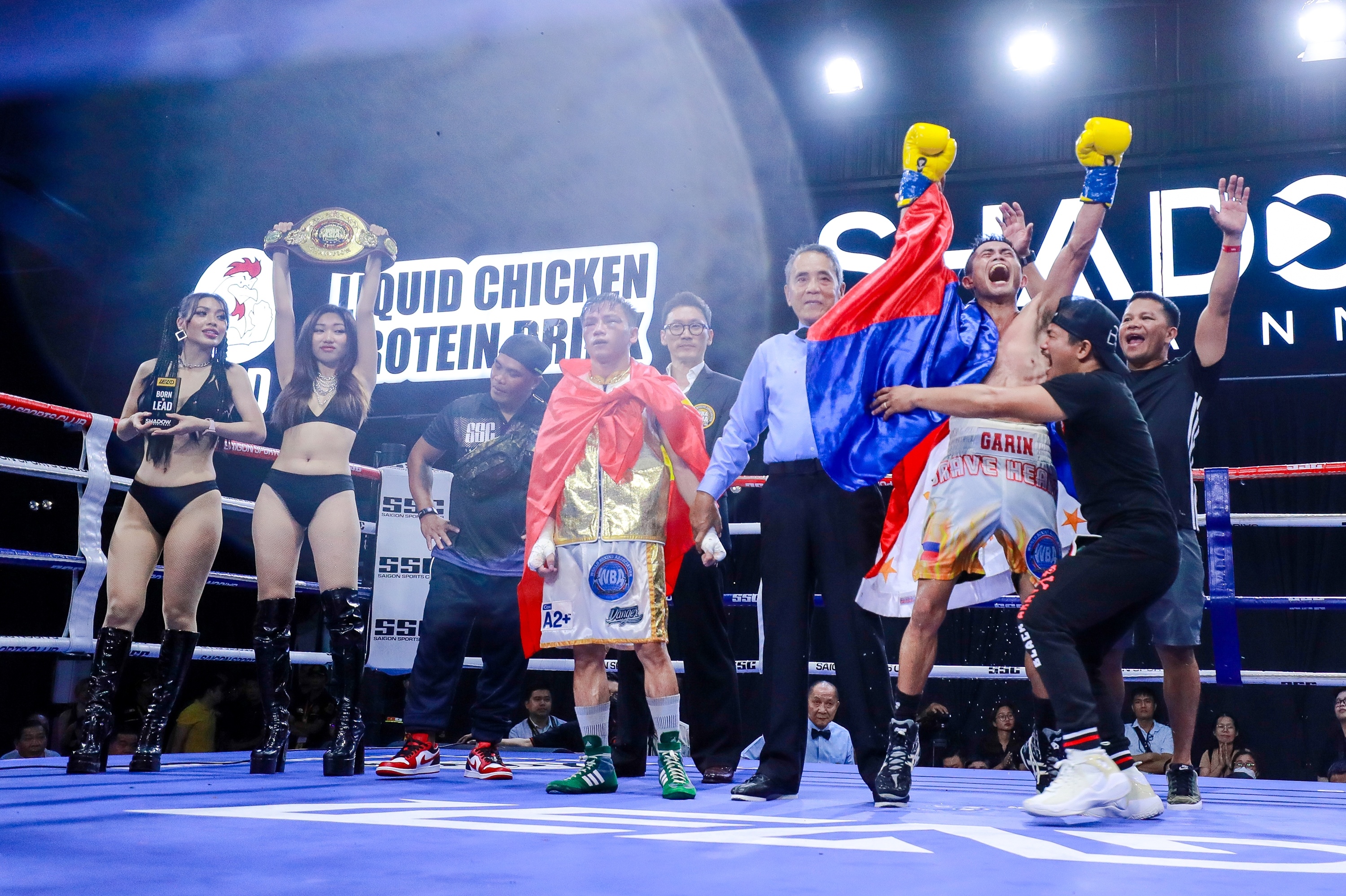 Truong Dinh Hoang anh 2