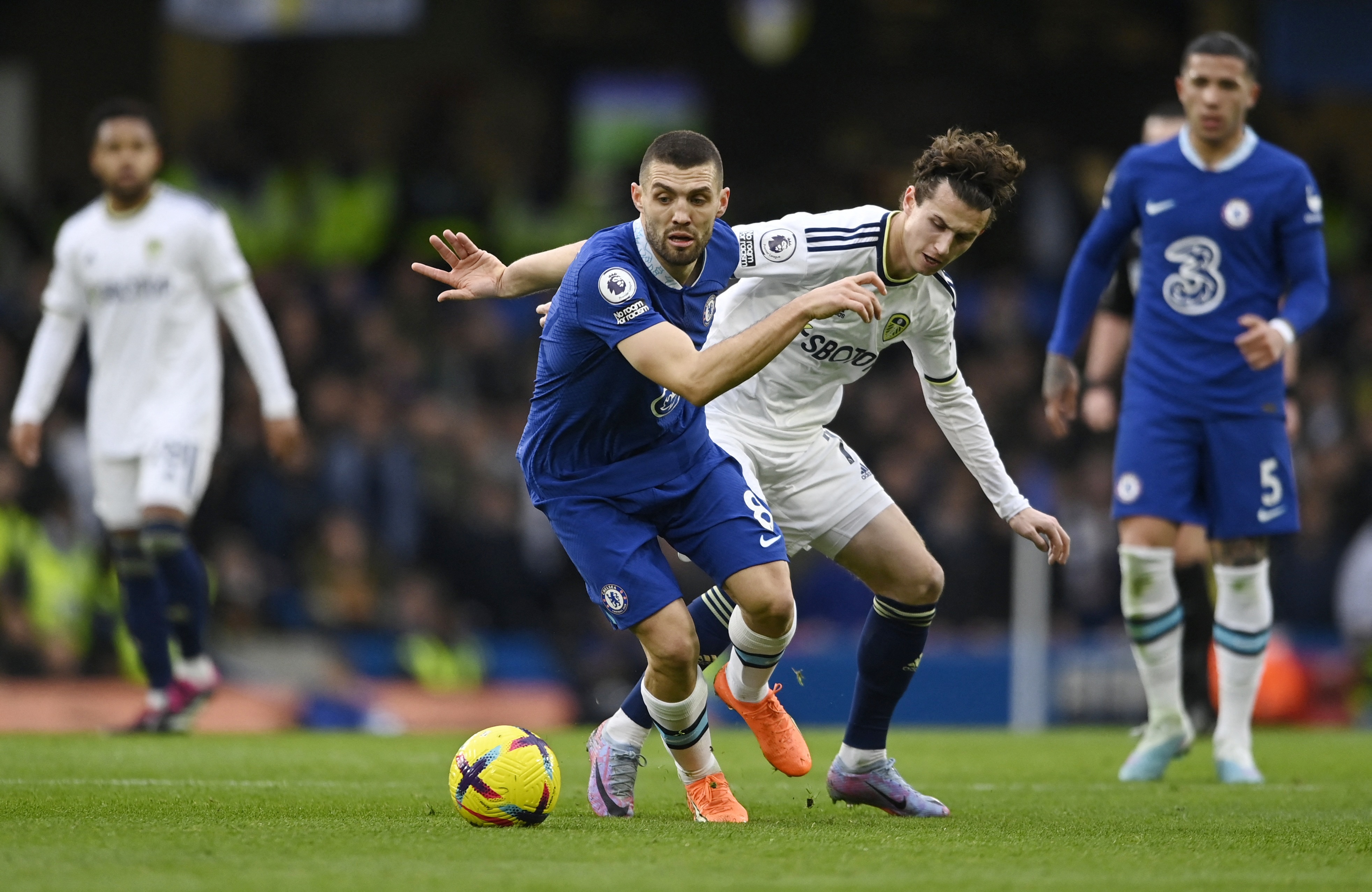 7 doi du chau Au anh 8