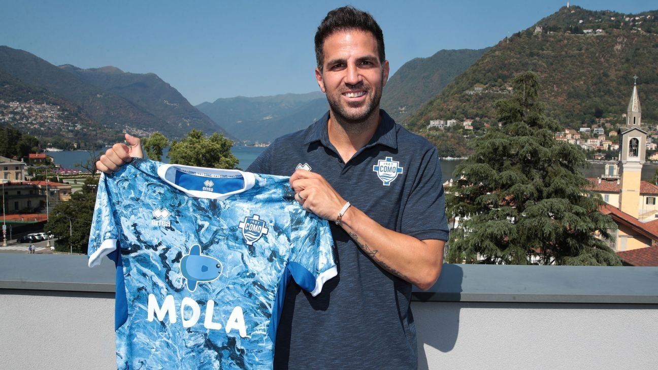 Cesc Fabregas giai nghe hinh anh