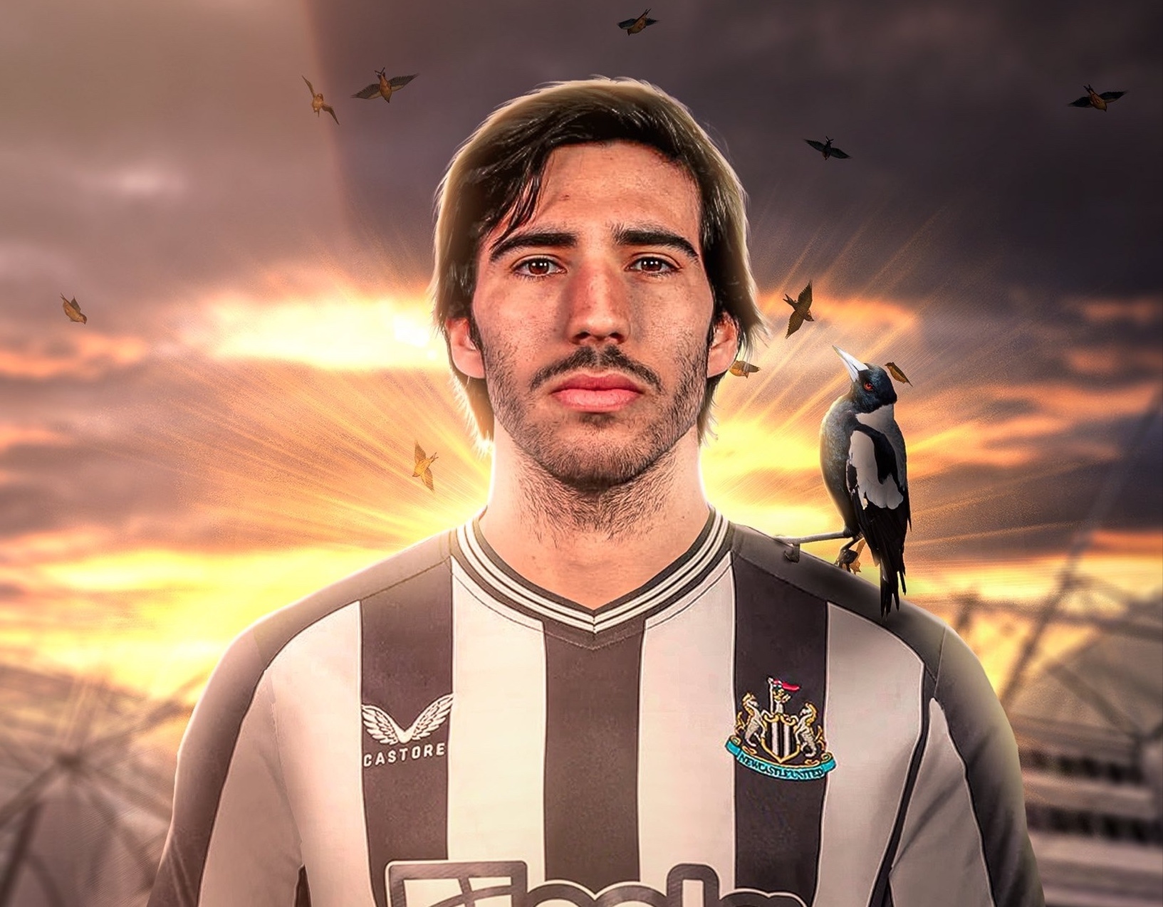 Newcastle cong bo tan binh tri gia 70 trieu euro hinh anh