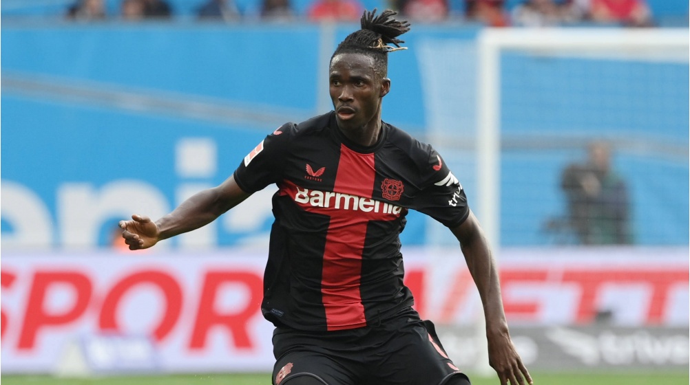 Bayer Leverkusen anh 6