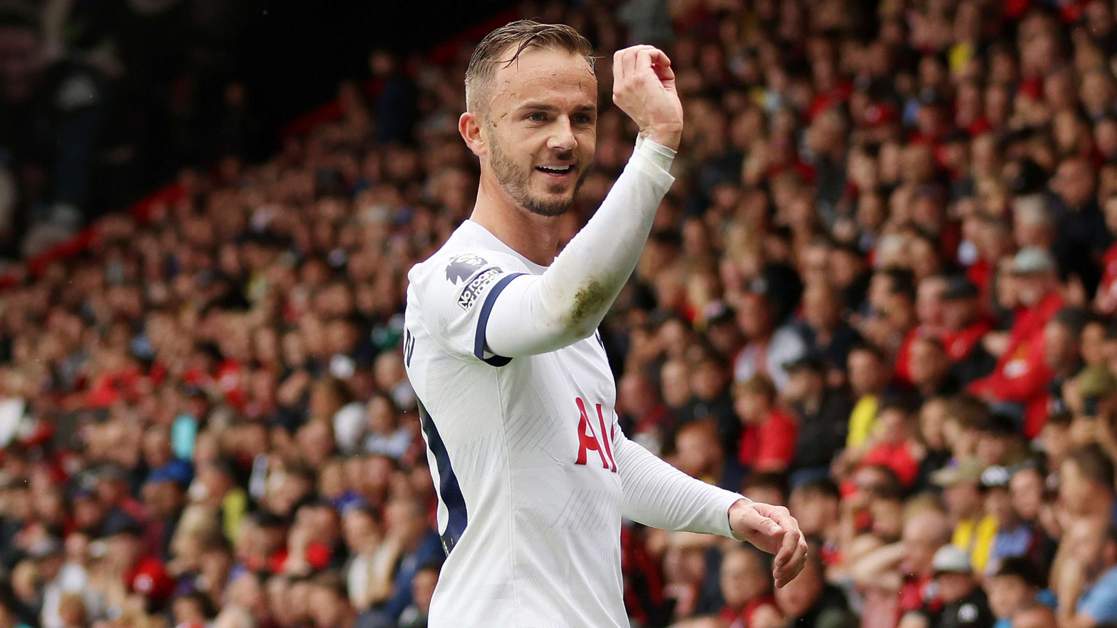 Dan tan binh hay nhat anh 8