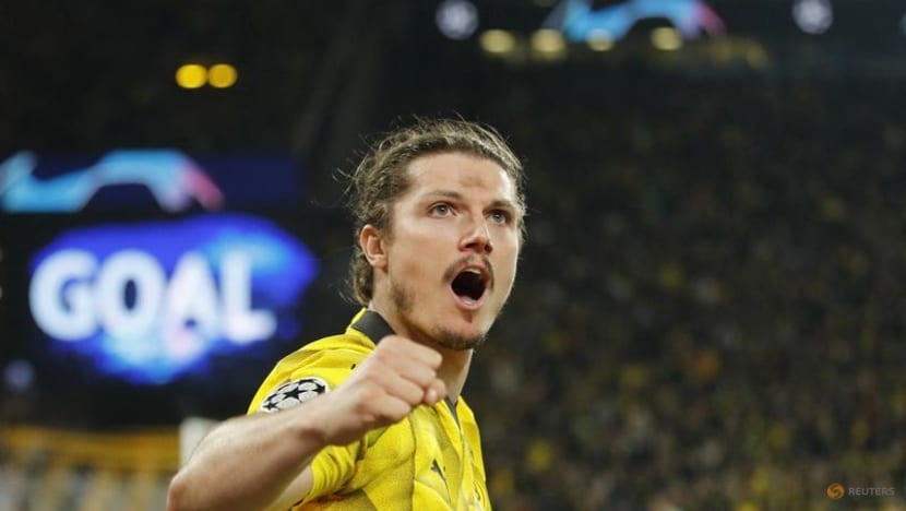 Dan cau thu hay nhat anh 7