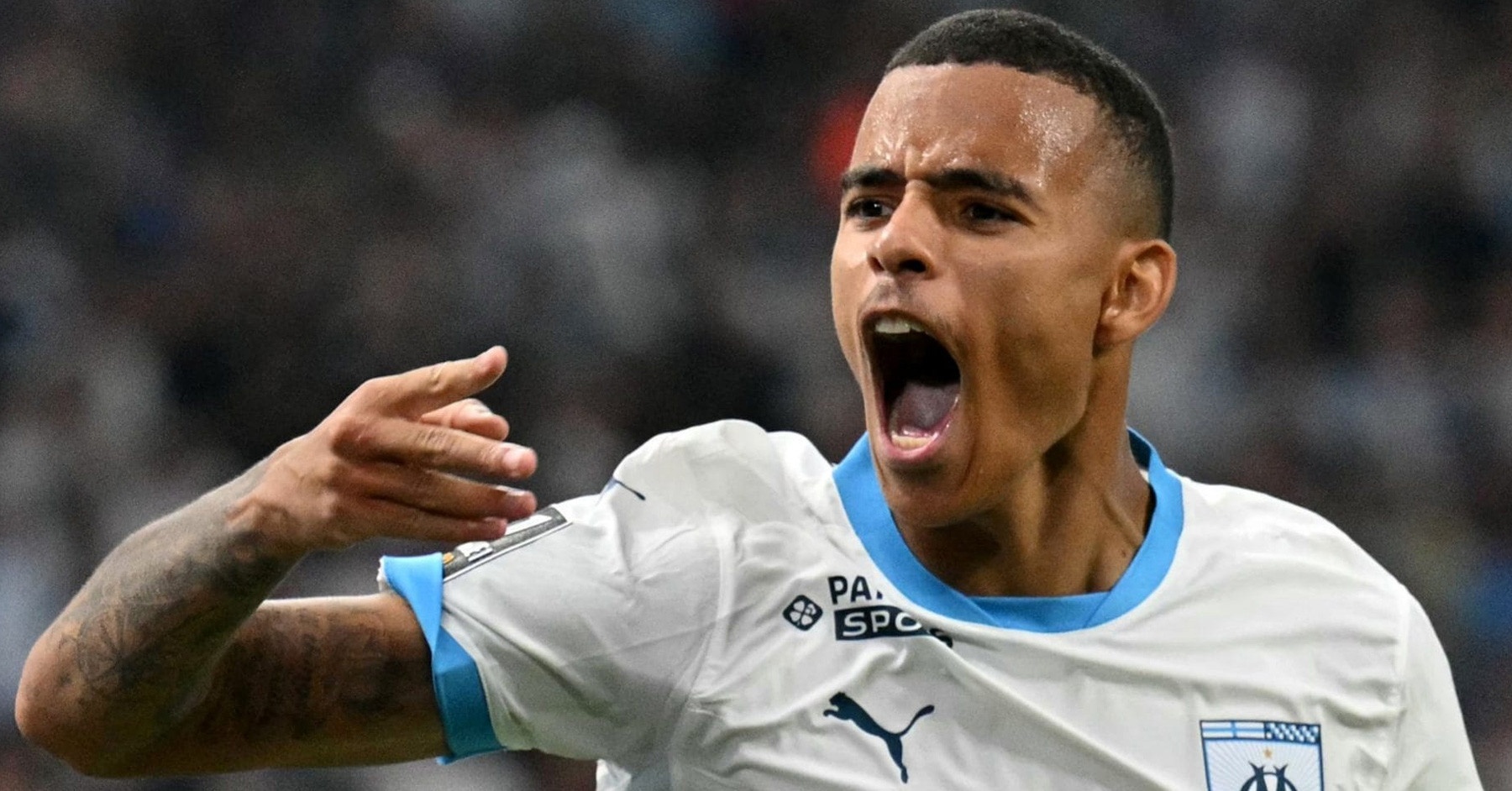 Greenwood dao nguoc tinh the o Phap hinh anh