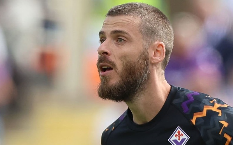 De Gea toa sang hinh anh