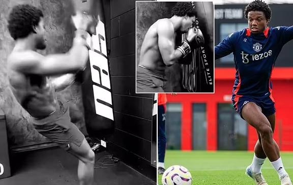 Co bap cua Malacia hinh anh