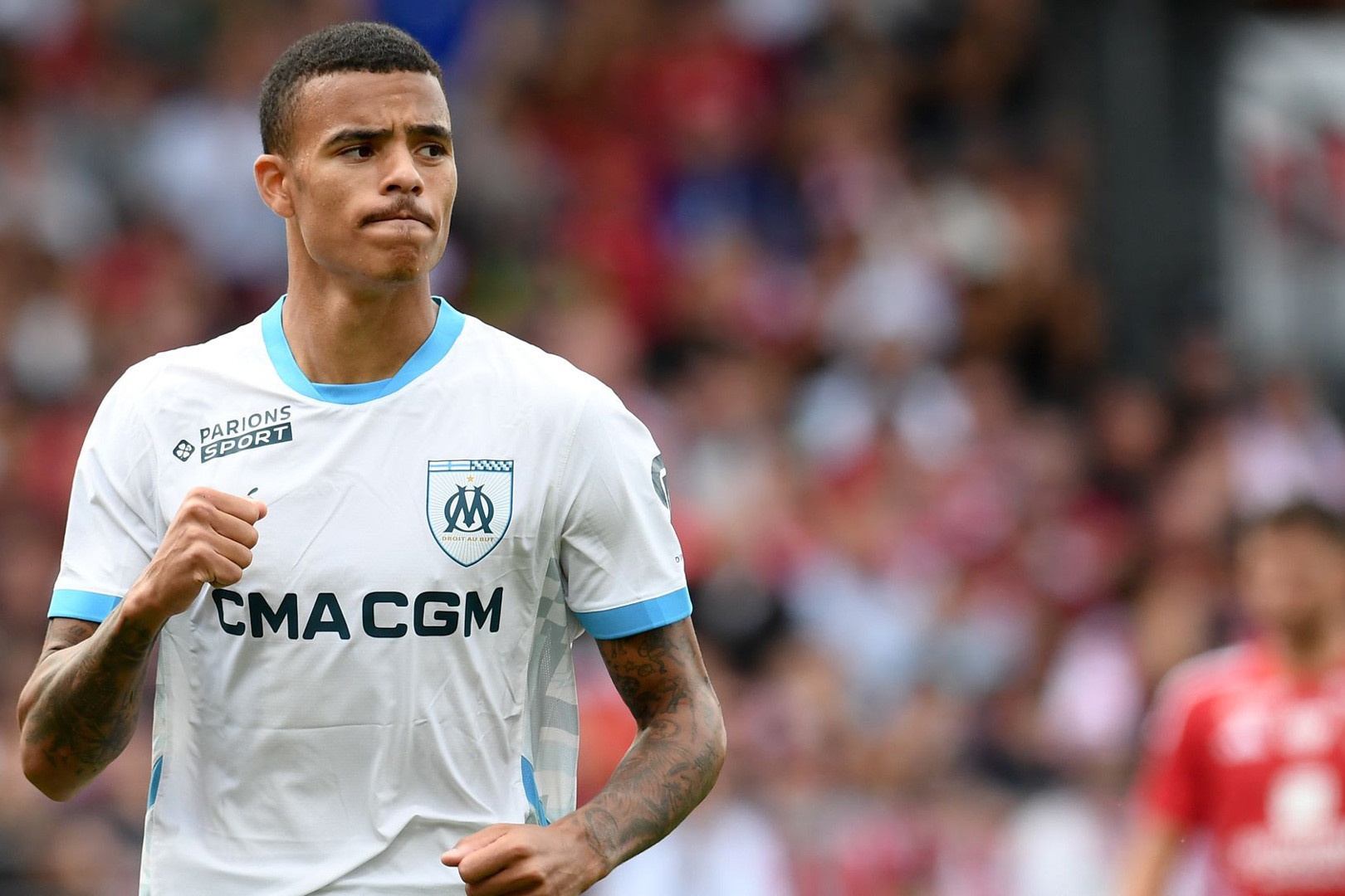 Greenwood tu bo tuyen Anh hinh anh