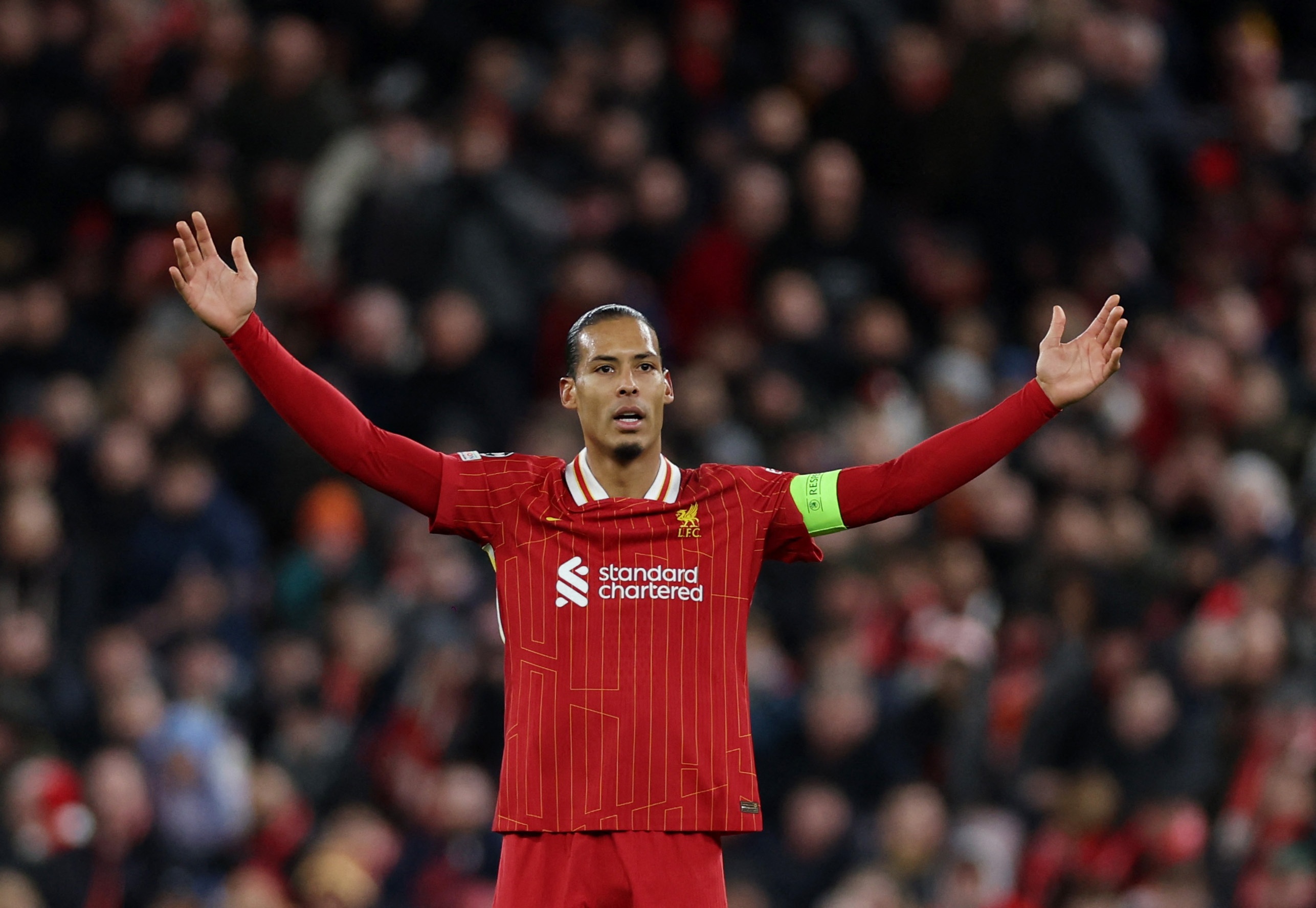 dan cau thu tu do anh 4