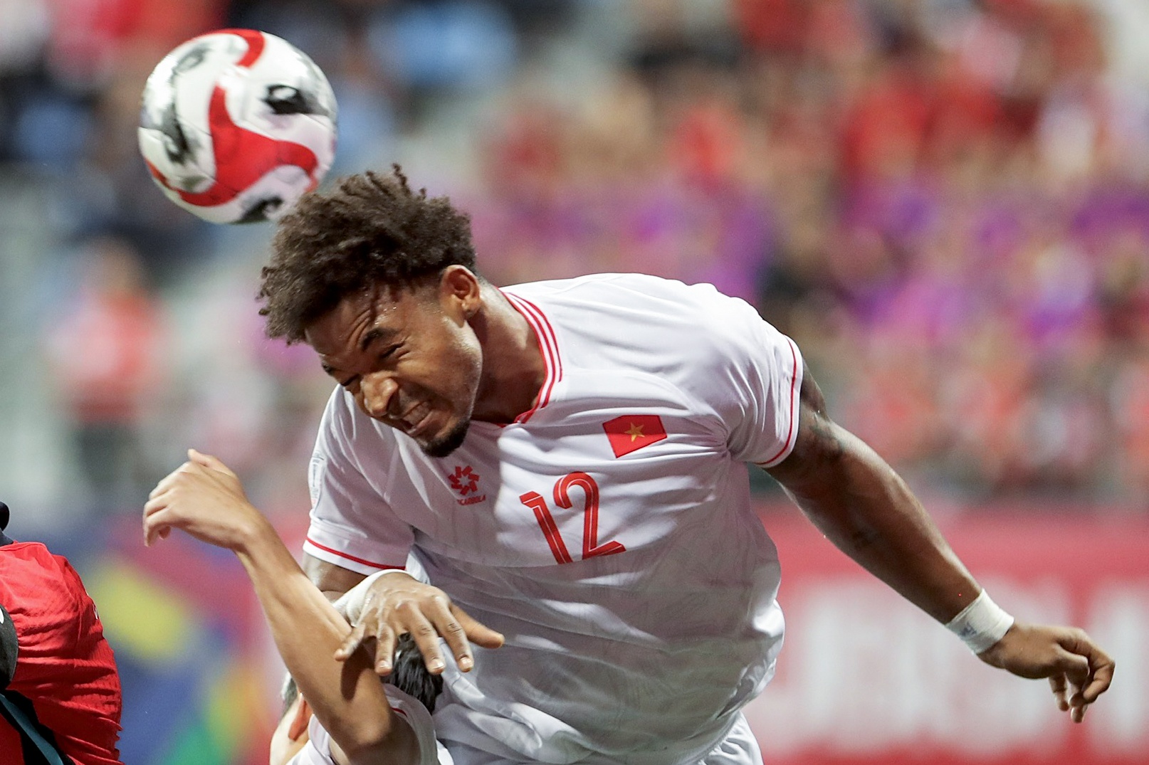 Bao Singapore cho rang phong toa Xuan Son la dieu bat buoc voi doi nha hinh anh