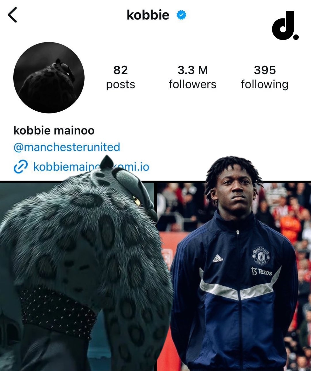 Mainoo gay chu y anh 1