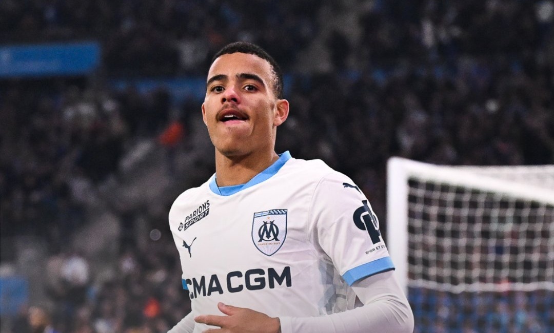 Greenwood ruc sang hinh anh