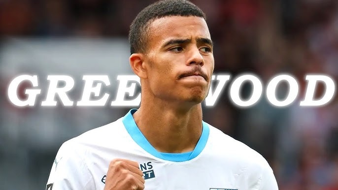 Greenwood gio ra sao hinh anh