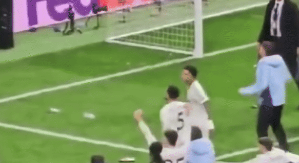 Bellingham phan ung hoan hao anh 1