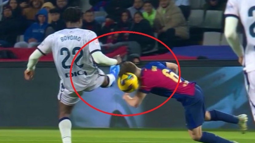 Gavi qua lieu linh hinh anh