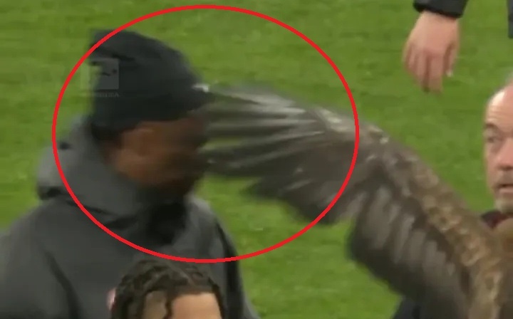 Cuu sao Chelsea bi dai bang tan cong tren san hinh anh