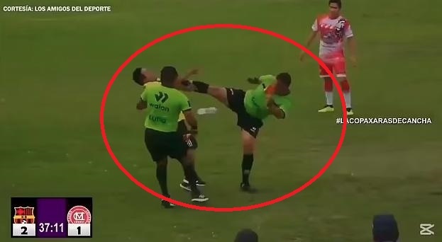 Trong tai dap thang mat HLV o giai Peru hinh anh