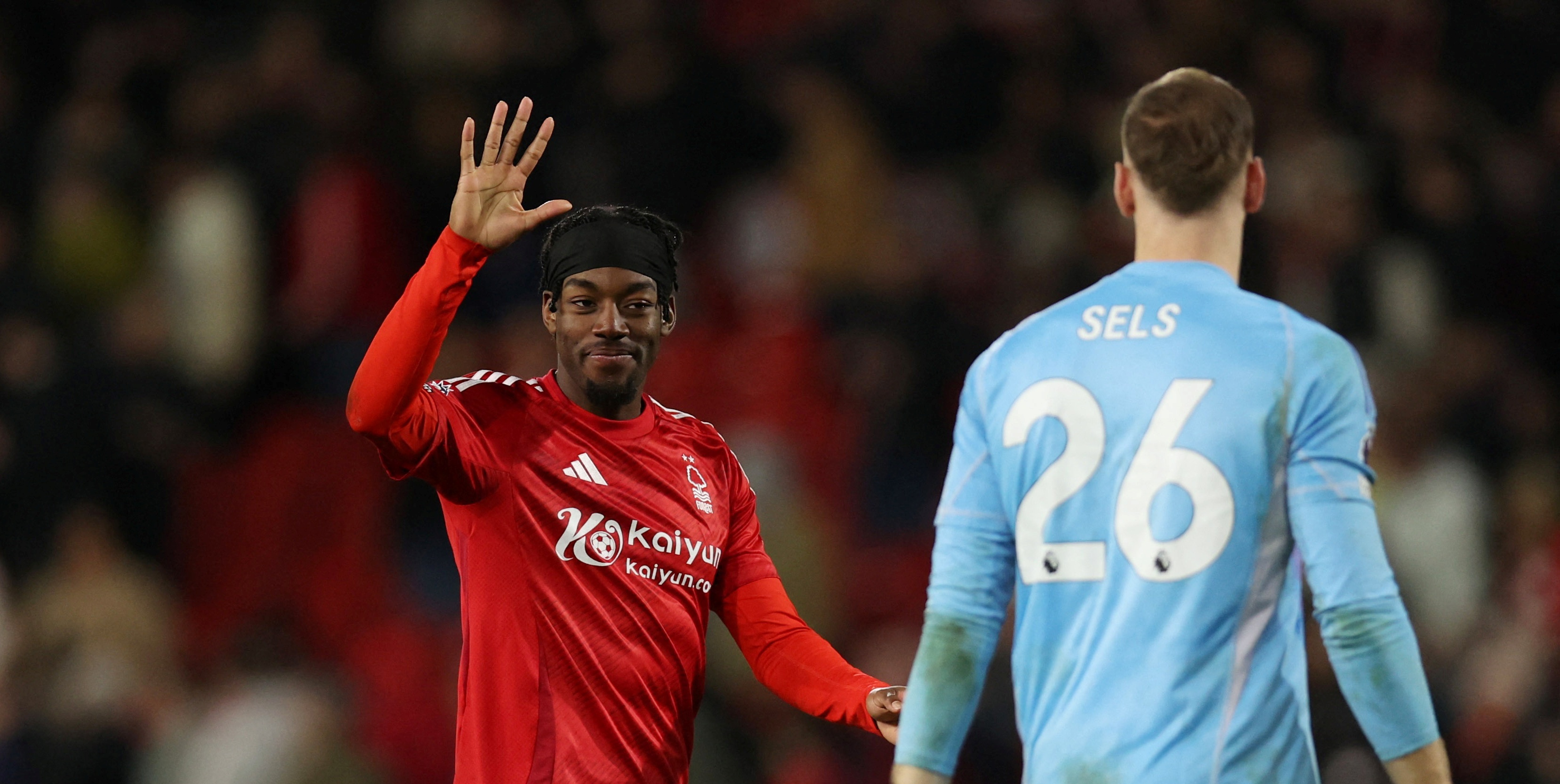 Elanga tang gia chong mat hinh anh