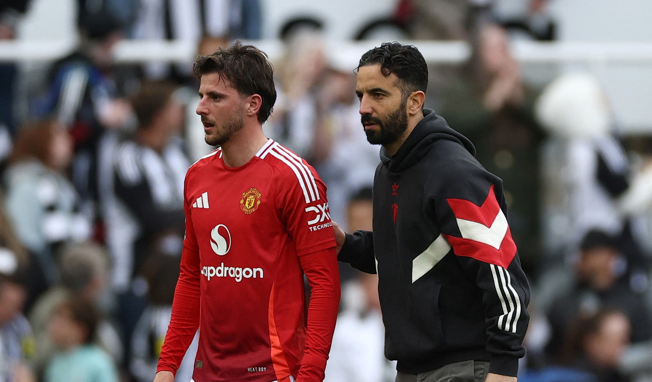 Mount gay phan no hinh anh