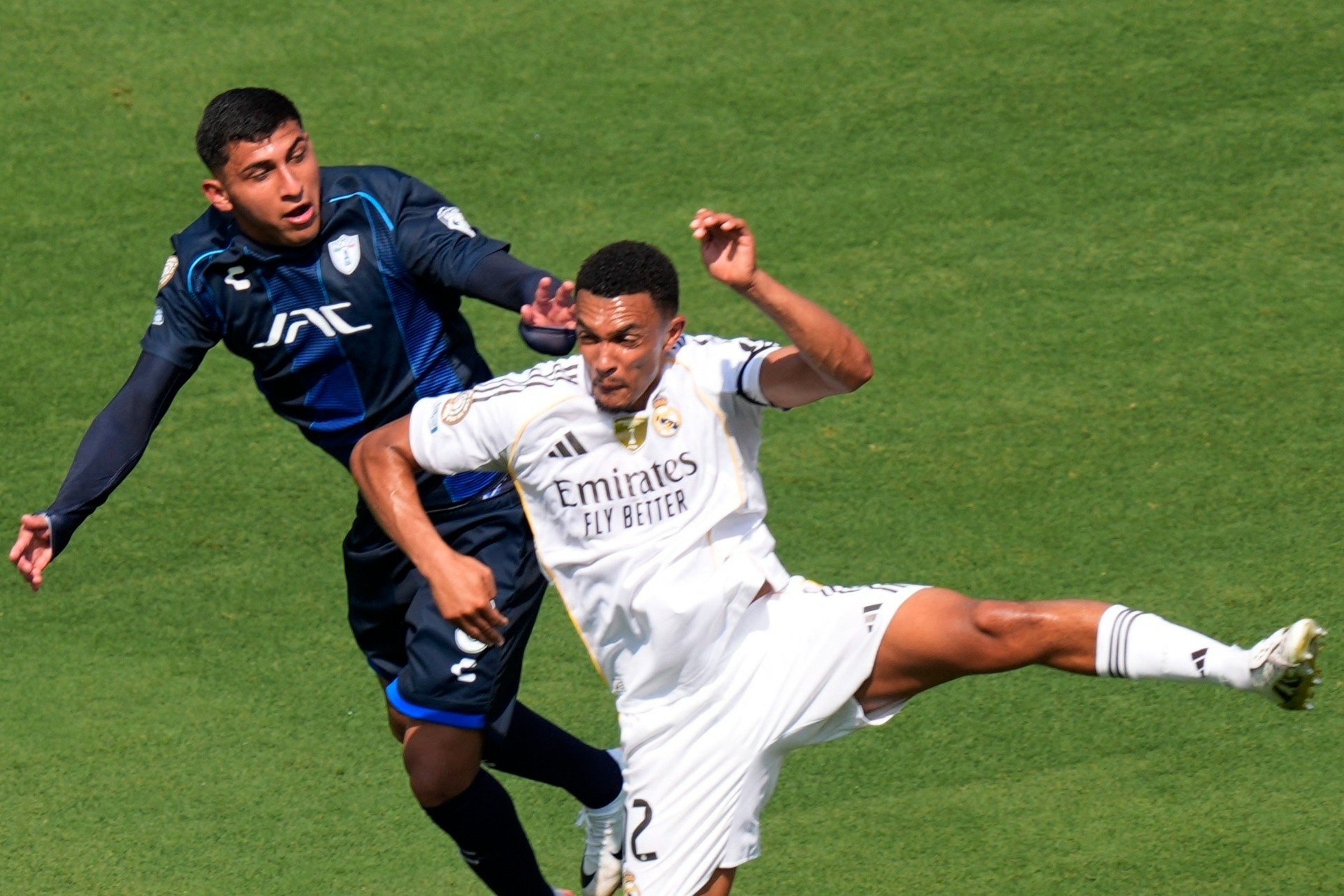 Alexander-Arnold gay tranh cai hinh anh