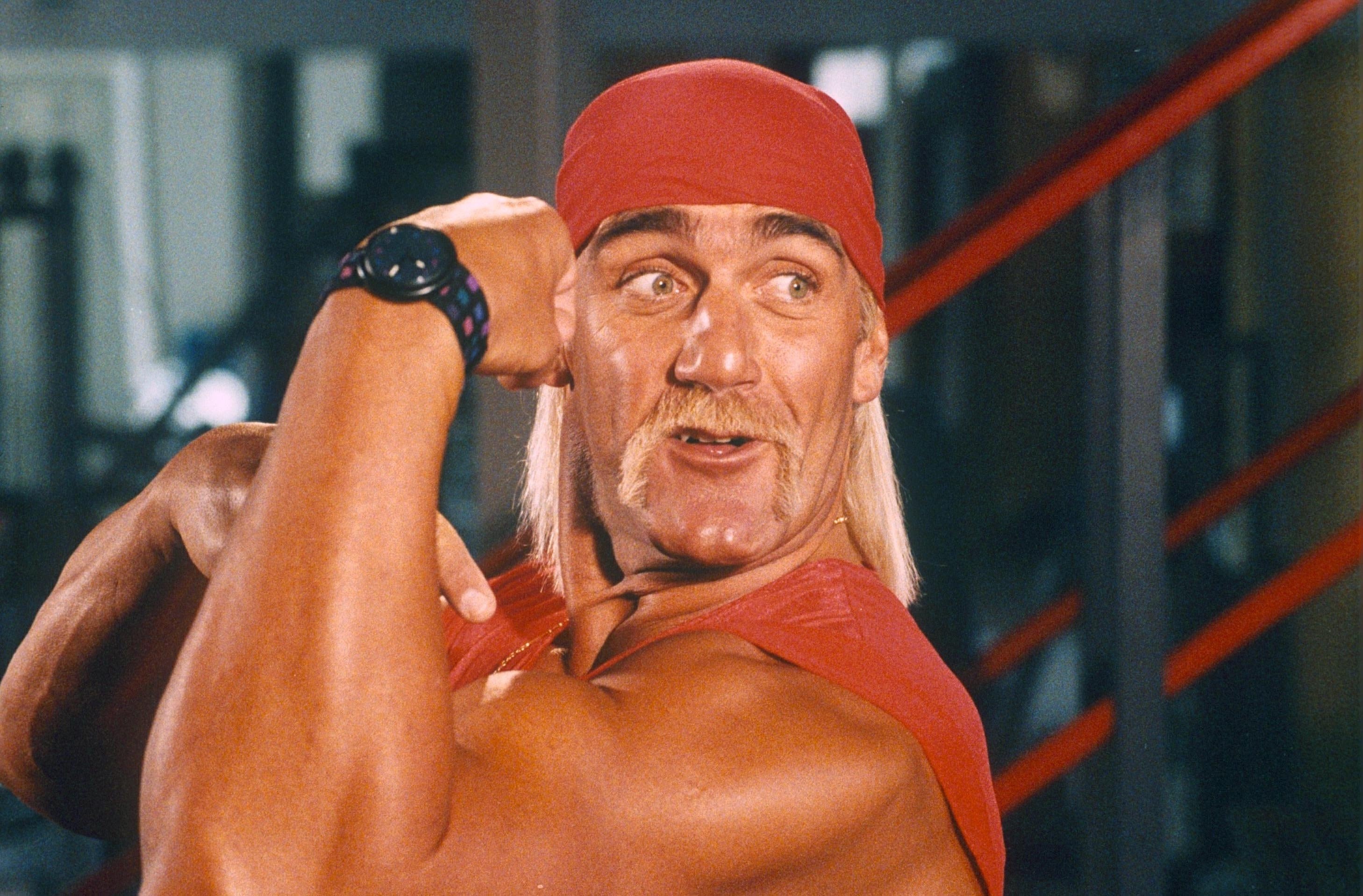 De che cua Hulk Hogan anh 1