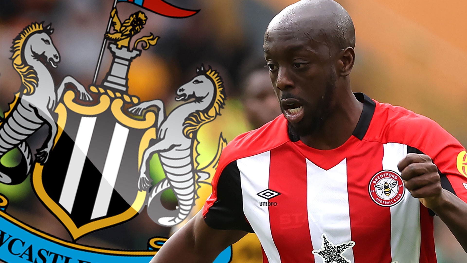 Newcastle lien tiep no 'bom tan' hinh anh