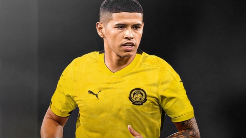 Ca doi bong chet lang vi cau thu nhap tich Malaysia hinh anh