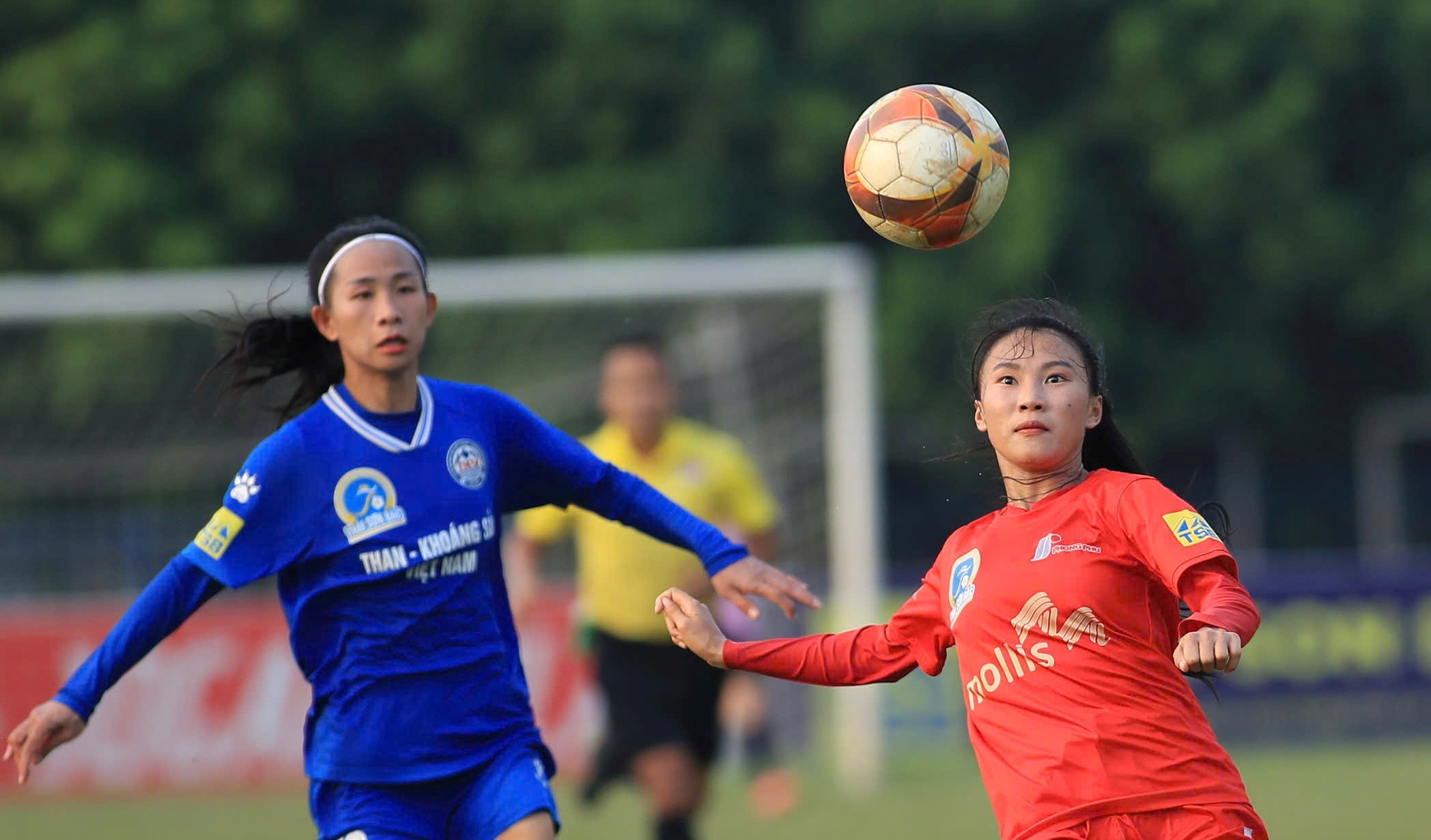 Than KSVN khien Ha Noi 'mat ngu' o giai nu VDQG 2025 hinh anh