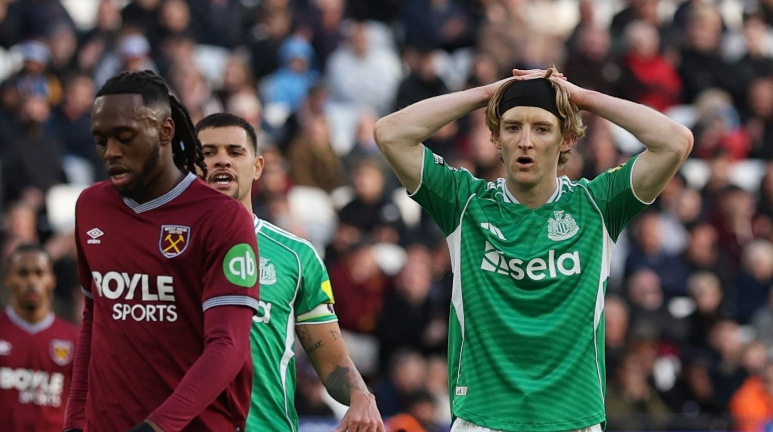 Newcastle thua doi hang 19 hinh anh