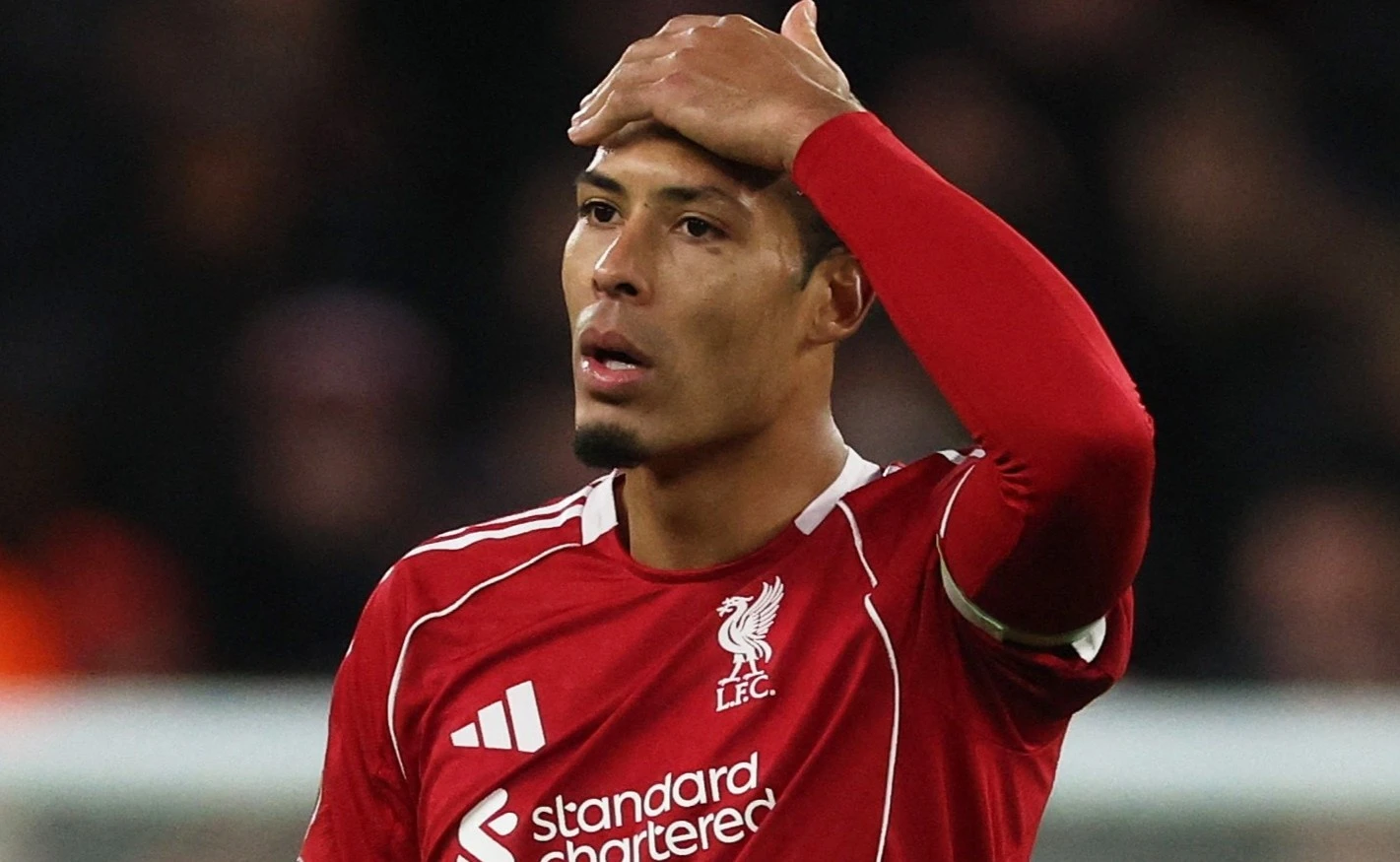 Tham hoa Liverpool hinh anh