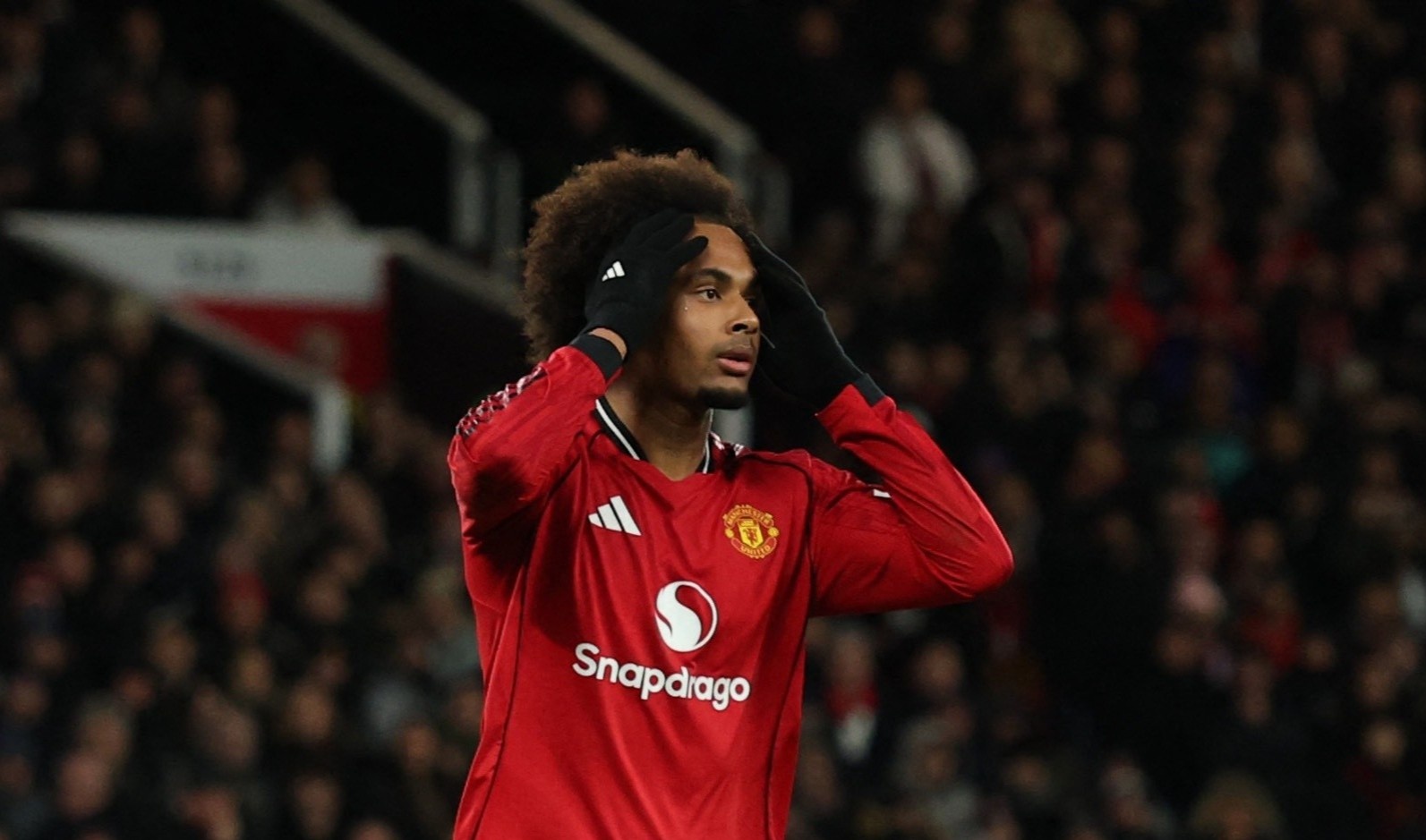 Tham hoa Zirkzee hinh anh