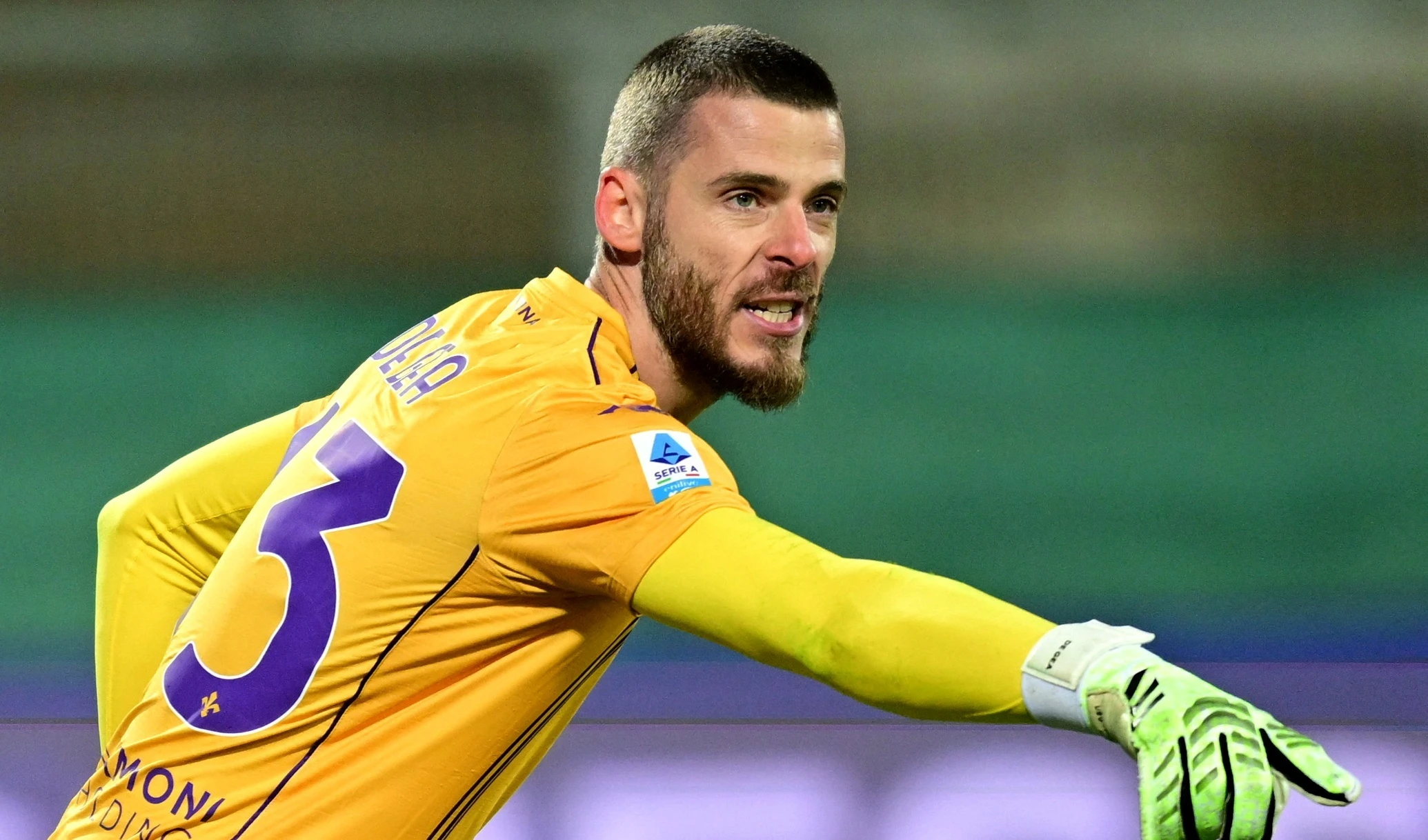 Tham hoa Fiorentina hinh anh