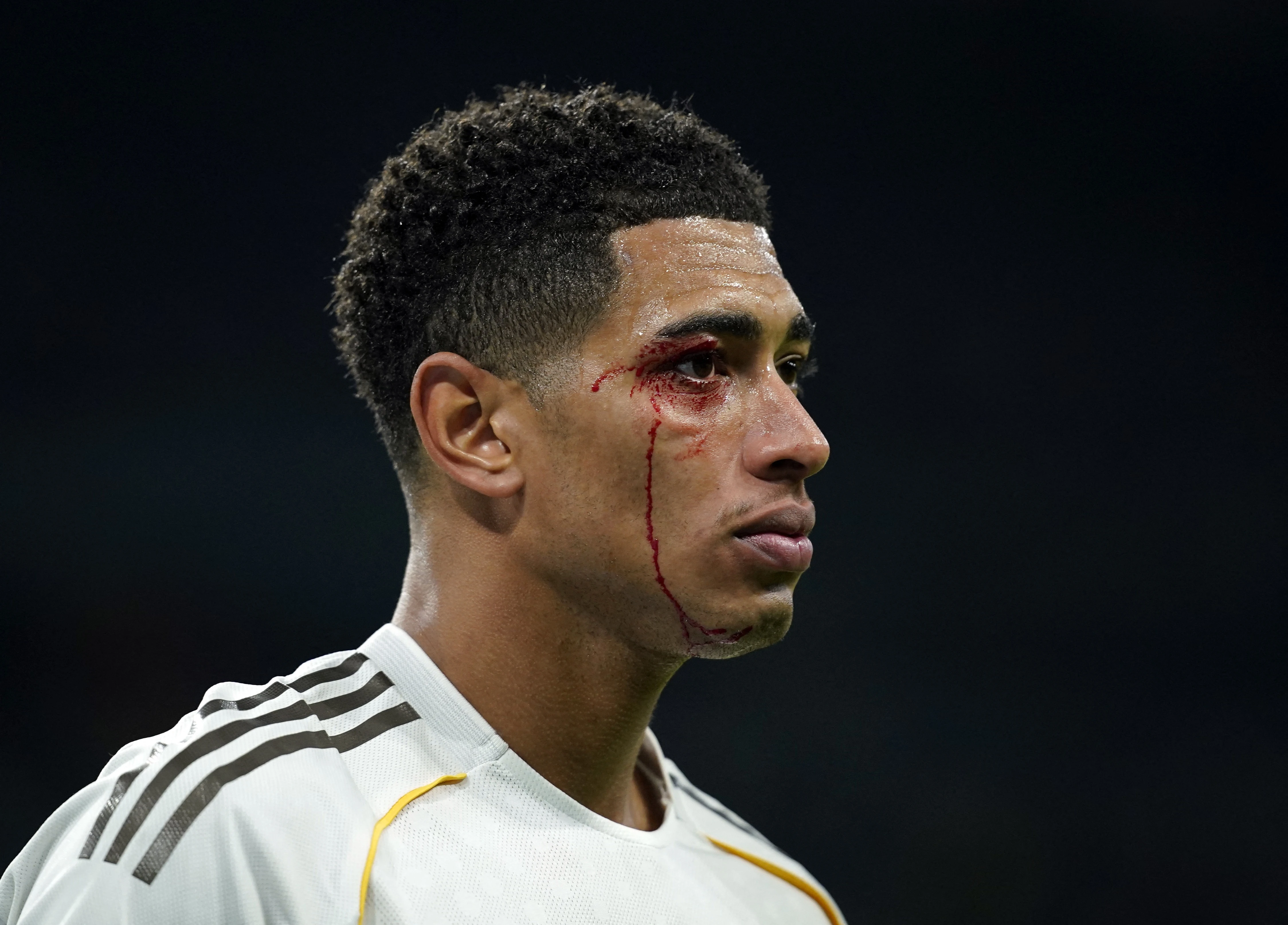 Mat ruom mau cua Bellingham hinh anh