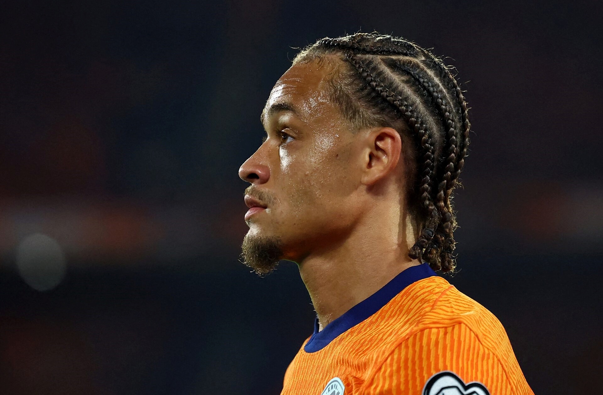 Bi kich cua tuyen thu Ha Lan hinh anh